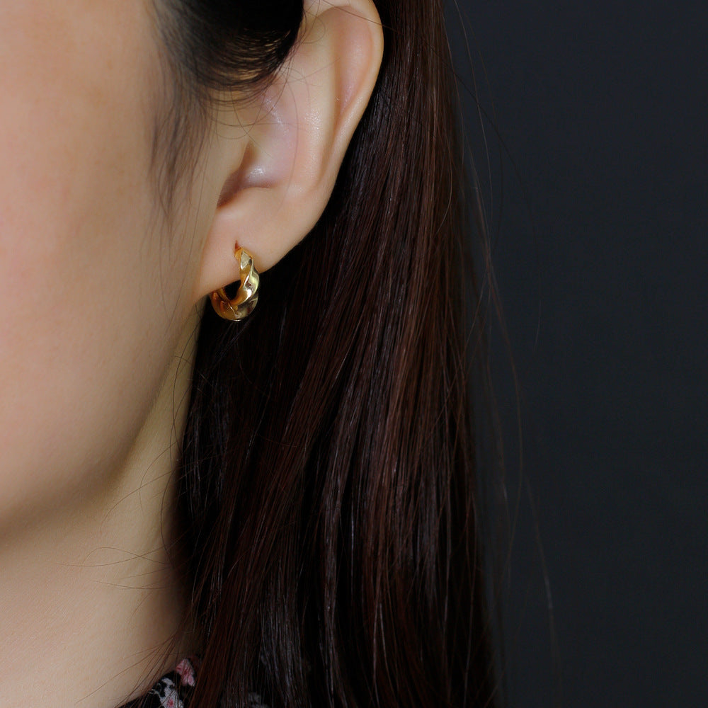 Twisted Golden and Silver Hoops