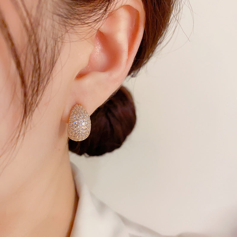 Exquisite Water Drop Earrings