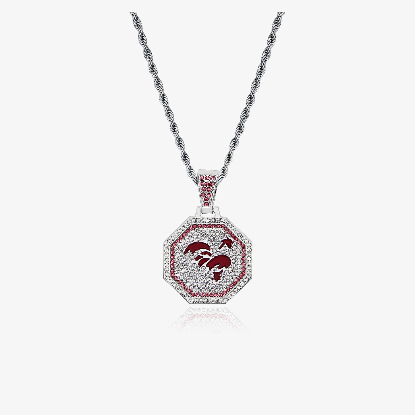 Luxury Silver Chain Zodiac Necklace