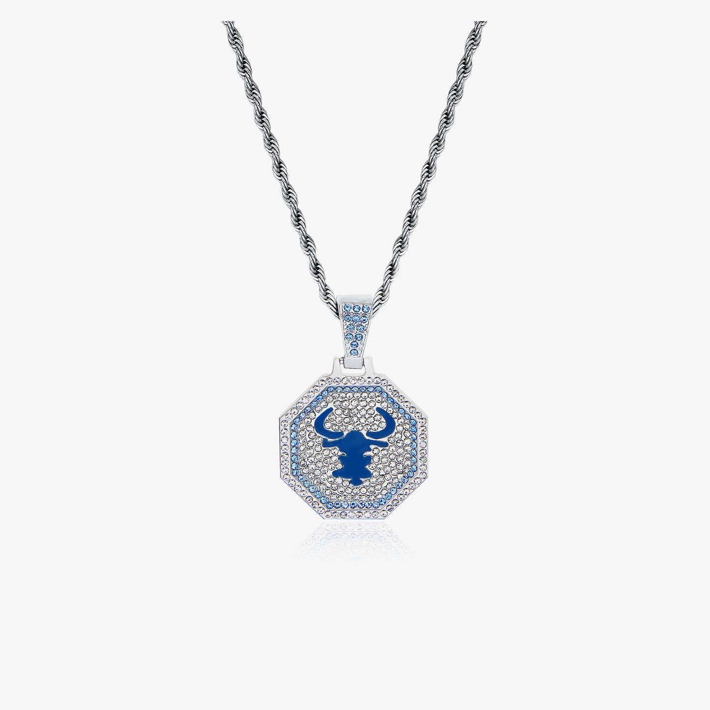 Luxury Silver Chain Zodiac Necklace