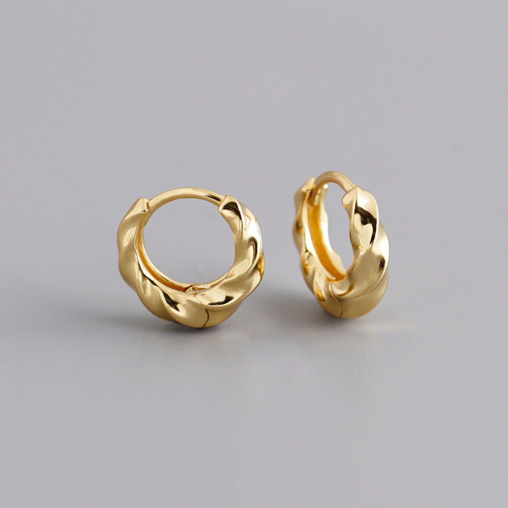 Twisted Golden and Silver Hoops