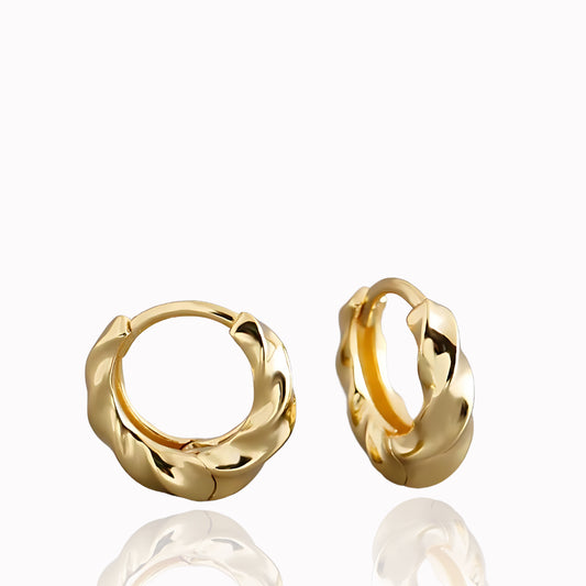 Twisted Golden and Silver Hoops